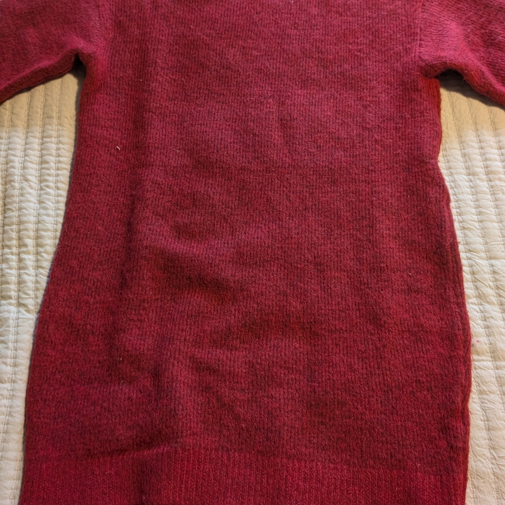 Banana Republic Women's Rich Red  Sweater Dress